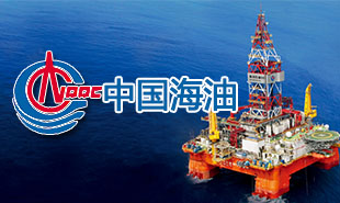 中海油集团应用案例